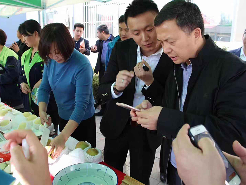 各地高管來到辛集市翠王果品有限公司進(jìn)行調(diào)研考察